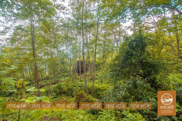 5 Ropani land for sale in Ranipauwa - Nuwakot