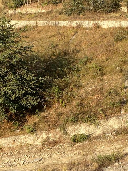 jamma  44 lakh ma   3 Aana 1 paisa  jagga bikrima