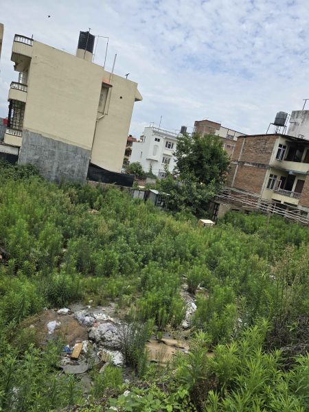 14 Aana land sale dhobighat