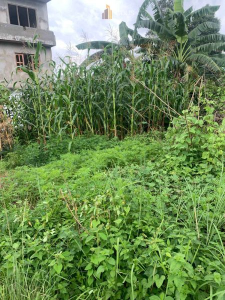 Land on sale at Dhapakhel, Lalitpur