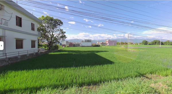 Land For Sale in Tilottama, Manigram, Rupandehi | Call for Details