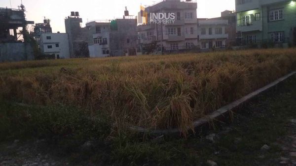 Land on sale at Tikathali, Imdol