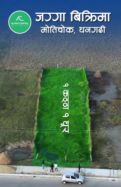  Commercial Land for Sale – Motichowk, Dhangadhi