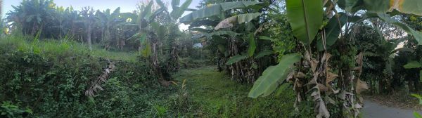  1 Kattha 5 Dhur Land for Sale — Just 20 Min from Hetauda City! 