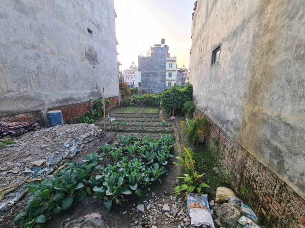 Residential Land for Sale in Srijananagar - 4 Aana 1 Paisa