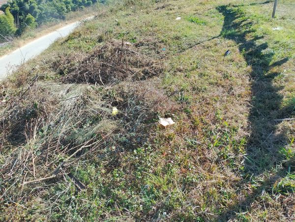 22 Lakh Per Anna . total land 4 Anna.lubu ko last ma lamatar starting ma.