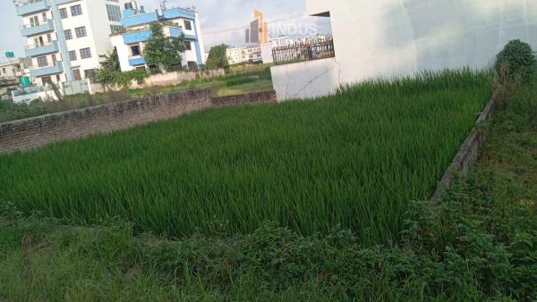 Land on sale at Balkot, Bhaktapur
