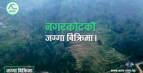 Prime Highway-Touch Land for Sale in Nagarkot!