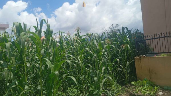 Land on sale at Balkot, Bhaktapur
