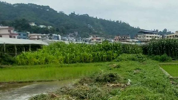 3.5 aana land for sale near Srijana Chowk, Dahachowk