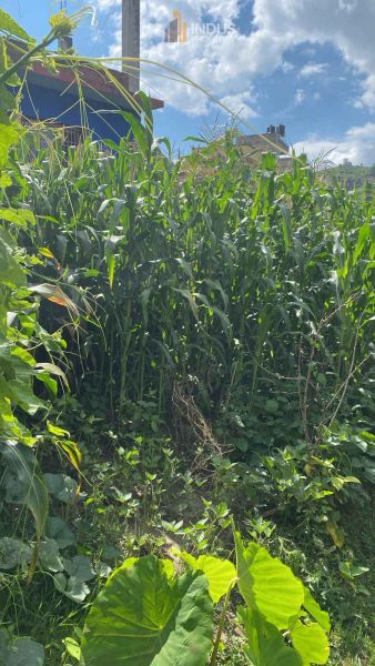 Land on sale at Kalanki, Kathmandu
