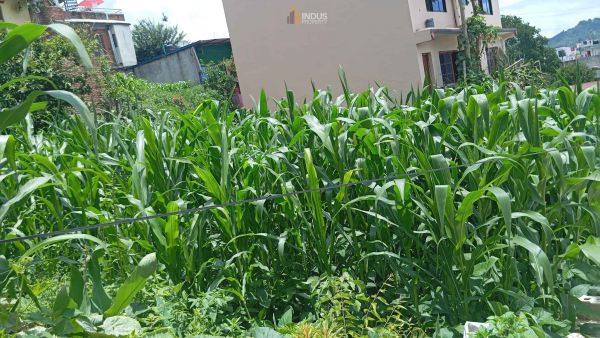 Land on sale at Mulpani, Kathmandu
