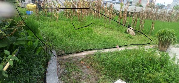 3 aana cheap land for sale in Lubhu Lalitpur