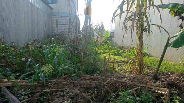 Land on sale at Pepsicola, Kathmandu