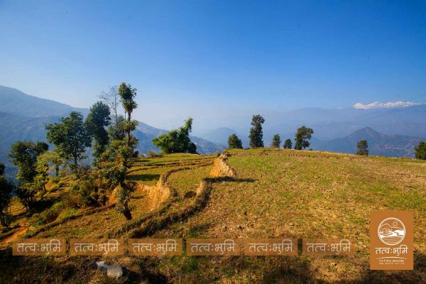 22 Ropani land for sale in Narayanthan - Nuwakot.