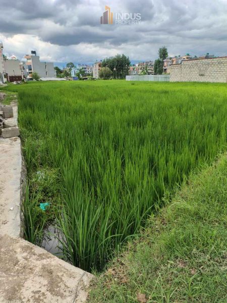 Semi-Commercial Land on Sale at Tikathli,lalitpur