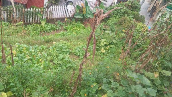 Land on sale at Harisiddhi, Lalitpur