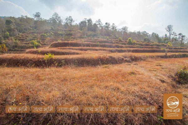 13 Ropani land for sale in Kamchok - Nuwakot