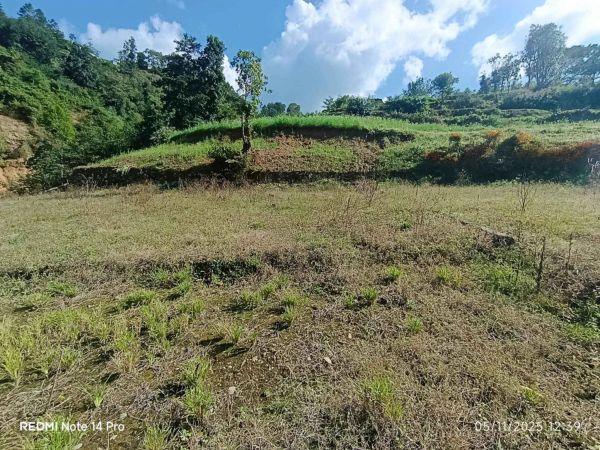 Land on sale Tika bhairav lalitpur