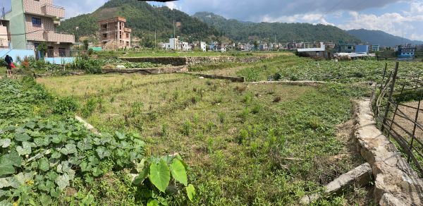 Emergency sale due to bank loans within a month 