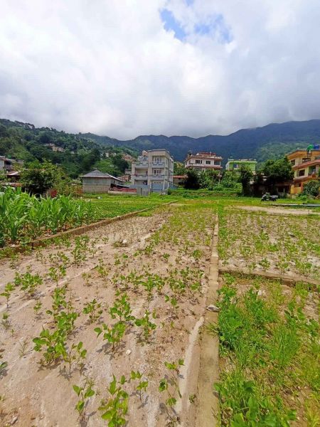 Land On Sale At Tokha Jhor