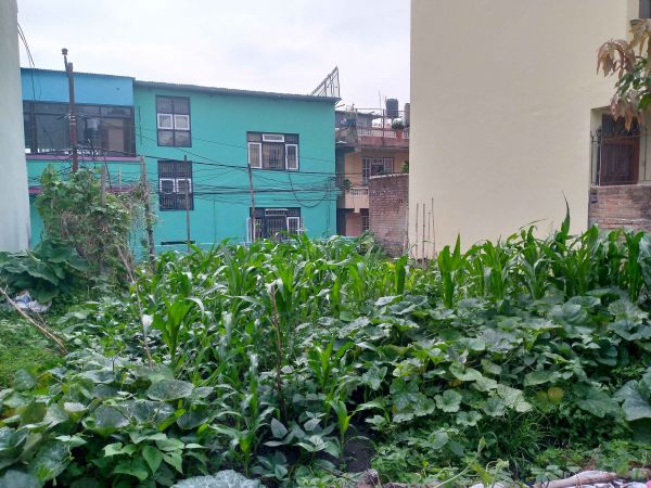 Land for Sale in Baikunthapuri Aawas, Tokha-10