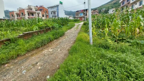 4 aana land for sale in Dahachowk height 