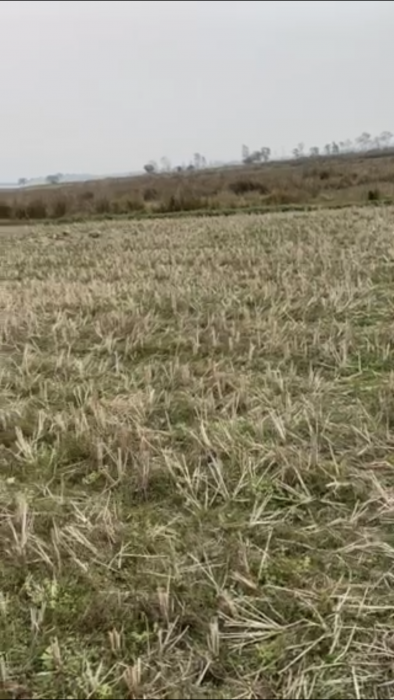 26 Kattha, Makrahar, Tillotamma, butwal