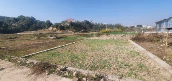 Land On Sale At Harsiddhi Newasuli 