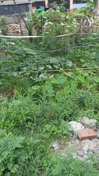 Land on sale at Kausaltar, Bhaktapur