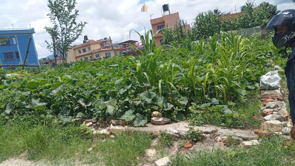 Land on sale at Mulpani, Kathmandu