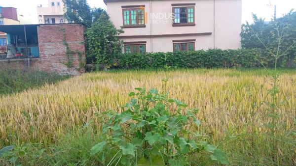 Land on sale at Kamerotar, Bhaktapur