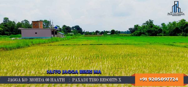 14.5 Katta, Devchuli, Bliss Garden, Island Jungle Resort ko Near