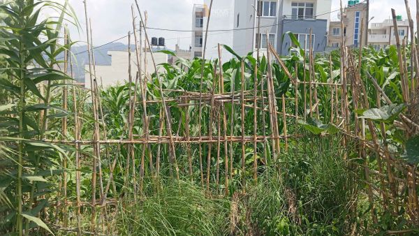 Land on sale at Sanagau, Lalitpur