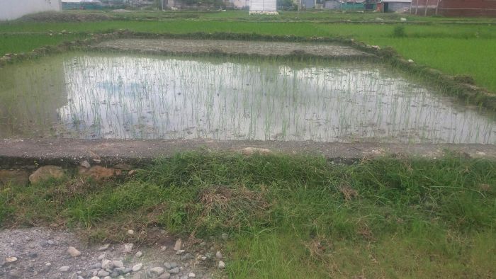 New Land for Sale in Kathmandu