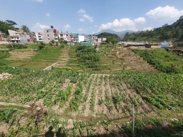 LAND FOR SALE IN THAIBA,LALITPUR @ NPR 21 LAKH