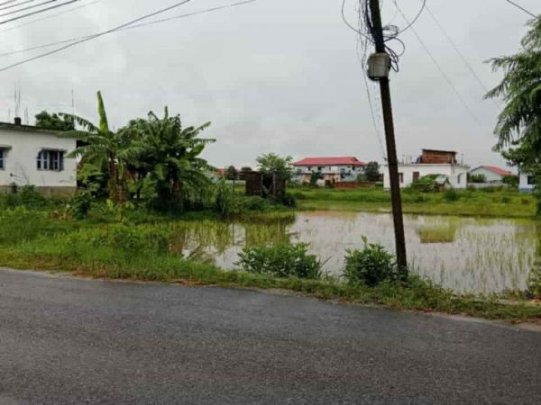 Land for Sale - Surunga, Jhapa; 1 Kattha @ 68.5 Lakh